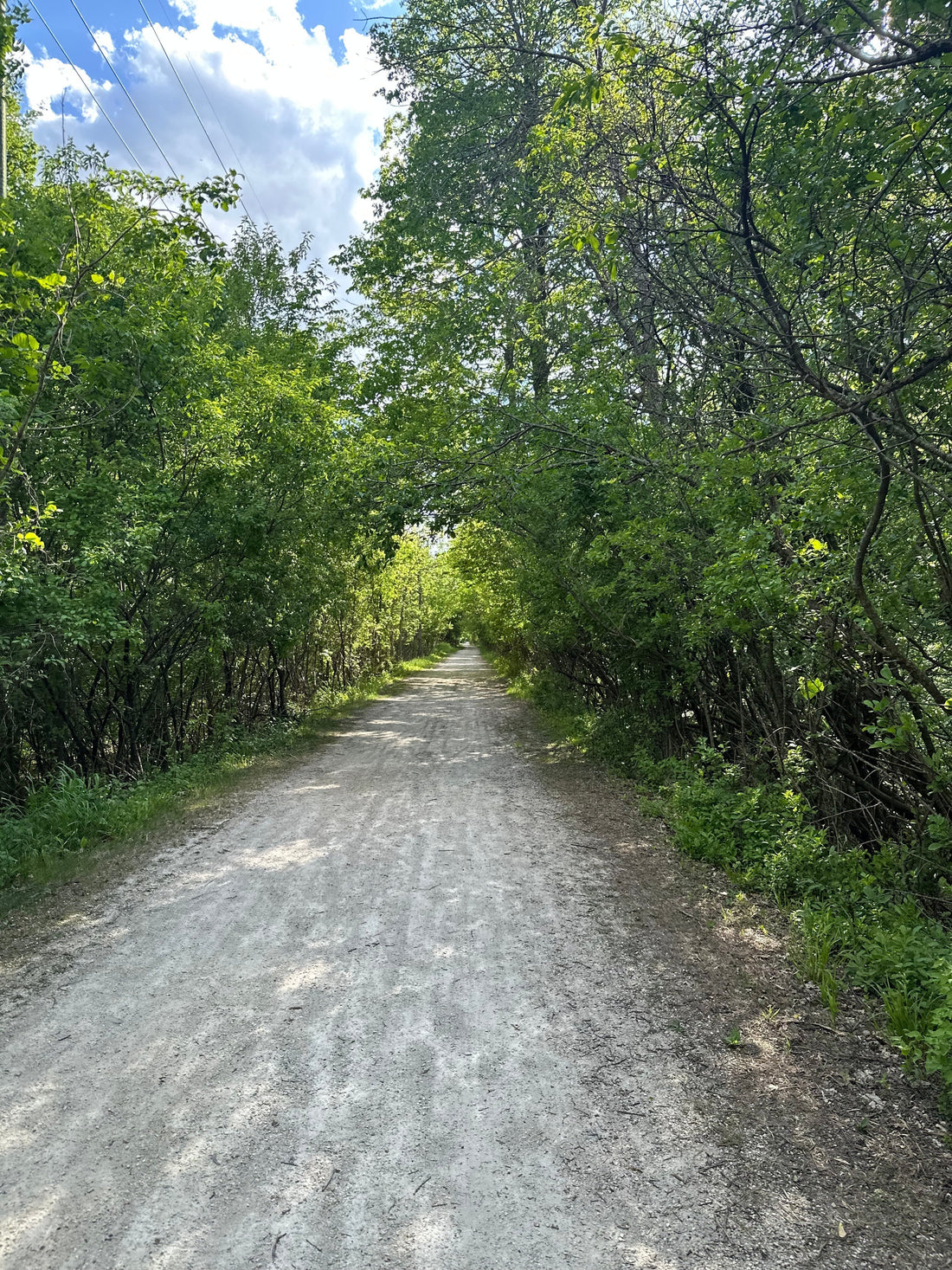 The Strength in Silence