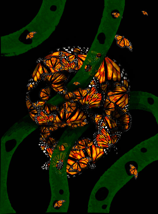 Death Becomes Life